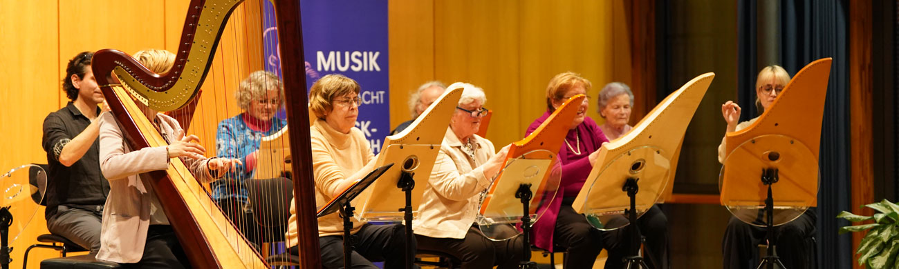 Senioren an der Musikschule Ismaning